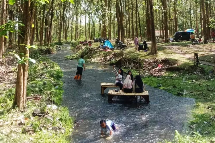 Menikmati Wisata Kapas Ijo di Kaki Gunung Semeru