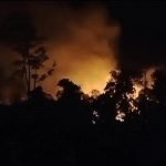 1.022 Hektare Taman Nasional Lahan Way Kambas Terbakar