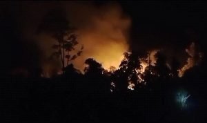 1.022 Hektare Taman Nasional Lahan Way Kambas Terbakar