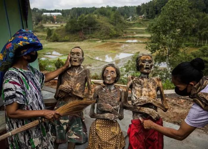 Melihat Prosesi Ma'nene: Ritual Merawat Jenazah Leluhur di Toraja